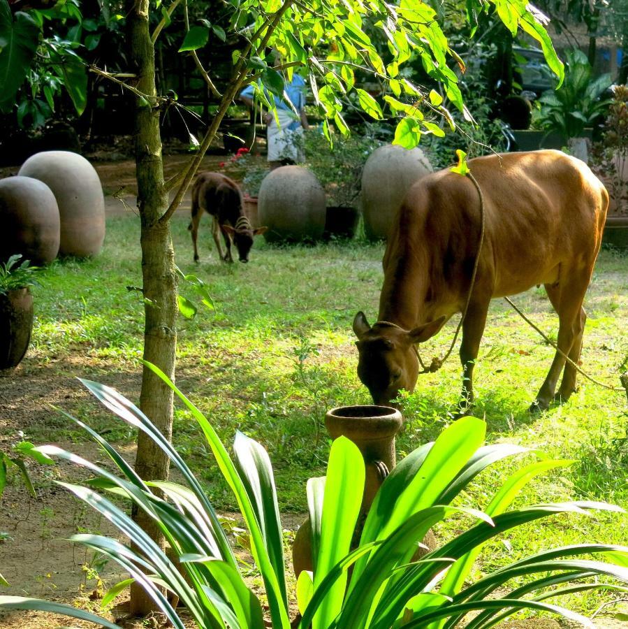 Clayfingers Art Cottage Thrissur Exterior foto